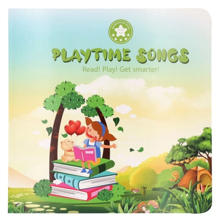 Room On The Broom Sound Book Use To Kid