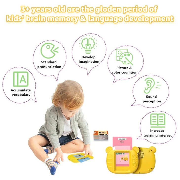 Custom Talking Flash Cards Learning Machine OEM/ODM Service