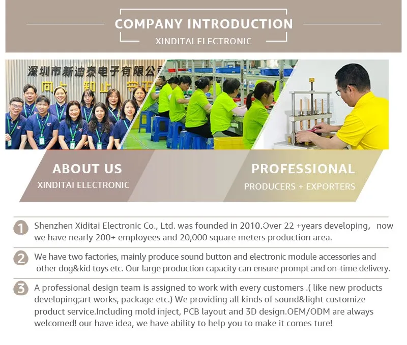 company information company information